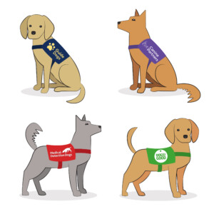 Set of illustrations for the National Trust Set of illustrations showing different assistance dogs